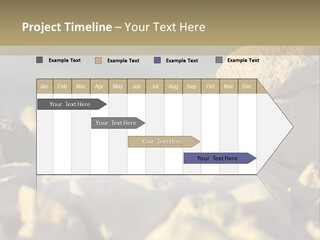 Light View Building PowerPoint Template