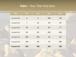 Light View Building PowerPoint Template