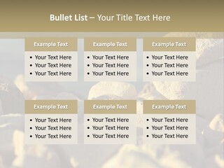 Light View Building PowerPoint Template