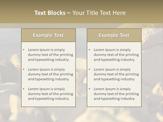 Light View Building PowerPoint Template