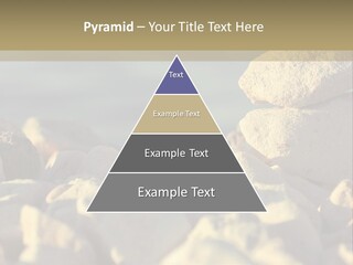 Light View Building PowerPoint Template