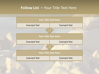 Light View Building PowerPoint Template