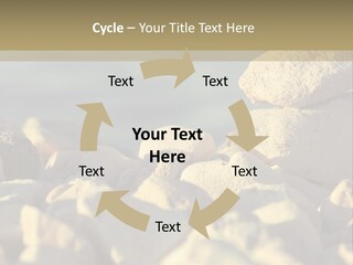 Light View Building PowerPoint Template