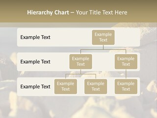 Light View Building PowerPoint Template
