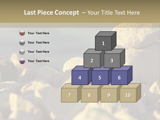 Light View Building PowerPoint Template