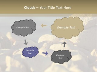 Light View Building PowerPoint Template