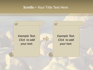 Light View Building PowerPoint Template