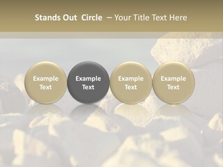Light View Building PowerPoint Template
