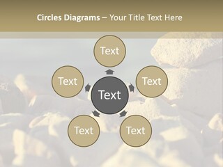 Light View Building PowerPoint Template