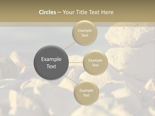 Light View Building PowerPoint Template