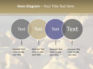 Light View Building PowerPoint Template