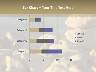 Light View Building PowerPoint Template
