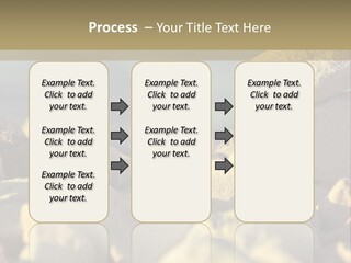 Light View Building PowerPoint Template