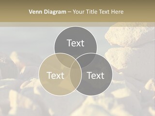 Light View Building PowerPoint Template