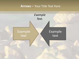 Light View Building PowerPoint Template