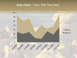 Light View Building PowerPoint Template