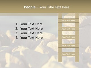 Light View Building PowerPoint Template