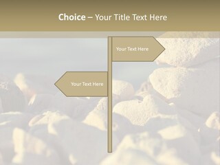 Light View Building PowerPoint Template