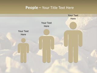 Light View Building PowerPoint Template