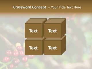 Abstract Construction Design PowerPoint Template