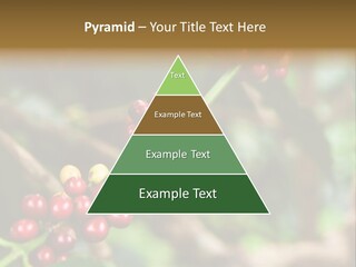Abstract Construction Design PowerPoint Template