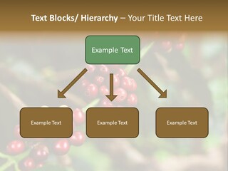 Abstract Construction Design PowerPoint Template