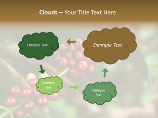 Abstract Construction Design PowerPoint Template