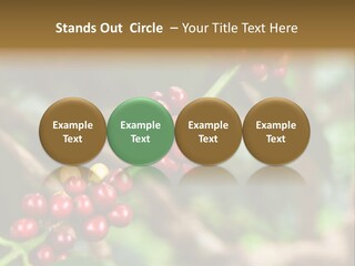 Abstract Construction Design PowerPoint Template