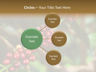 Abstract Construction Design PowerPoint Template