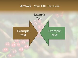 Abstract Construction Design PowerPoint Template