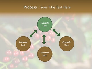 Abstract Construction Design PowerPoint Template