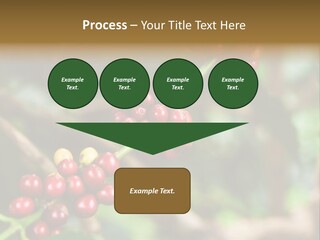 Abstract Construction Design PowerPoint Template