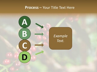 Abstract Construction Design PowerPoint Template