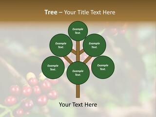 Abstract Construction Design PowerPoint Template