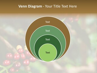 Abstract Construction Design PowerPoint Template
