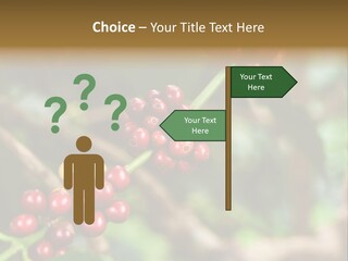 Abstract Construction Design PowerPoint Template