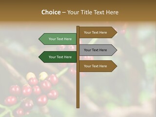 Abstract Construction Design PowerPoint Template