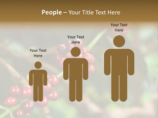 Abstract Construction Design PowerPoint Template