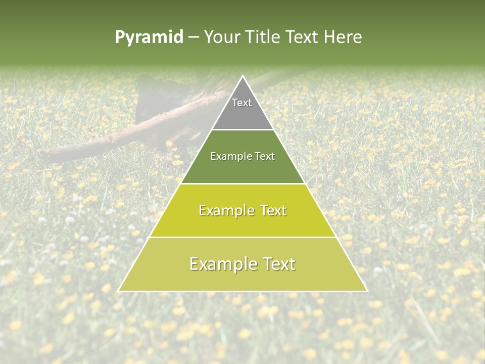 Shape Construction Downtown PowerPoint Template