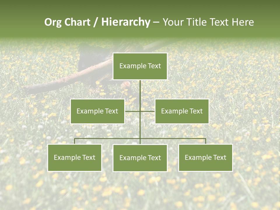 Shape Construction Downtown PowerPoint Template