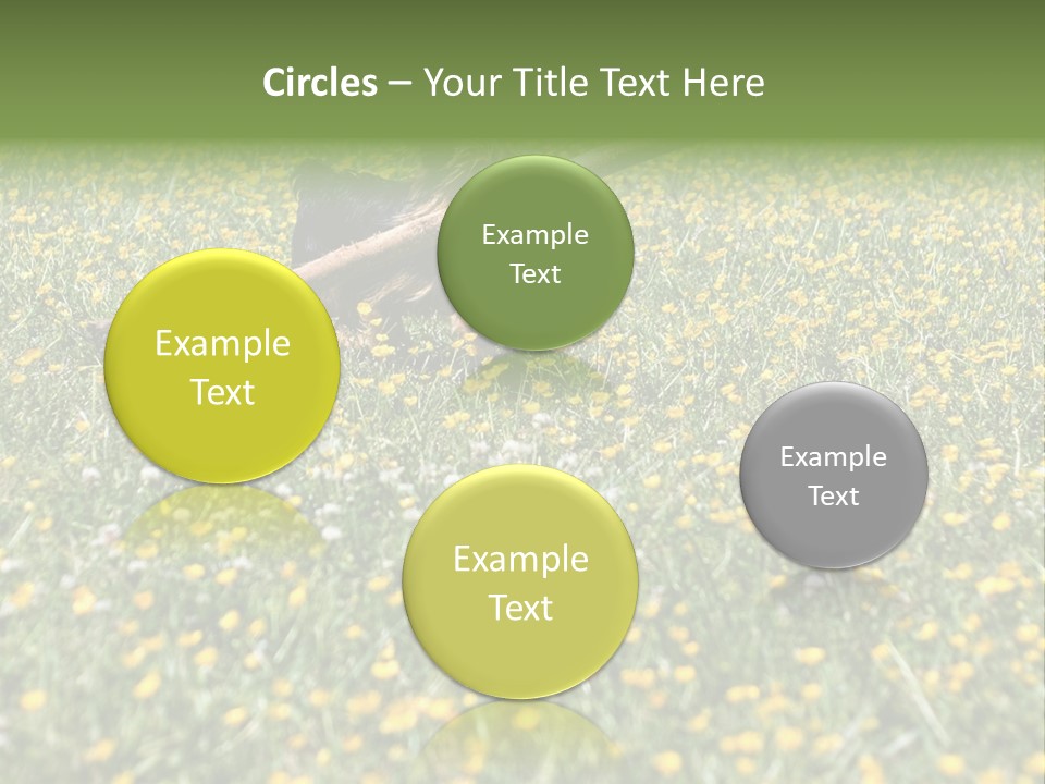 Shape Construction Downtown PowerPoint Template