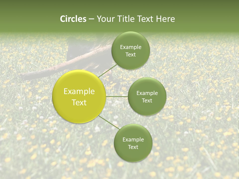 Shape Construction Downtown PowerPoint Template