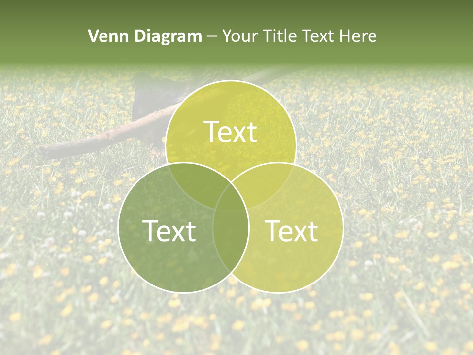 Shape Construction Downtown PowerPoint Template