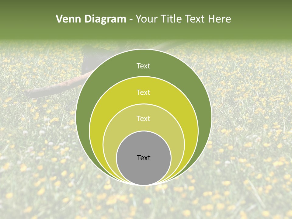 Shape Construction Downtown PowerPoint Template
