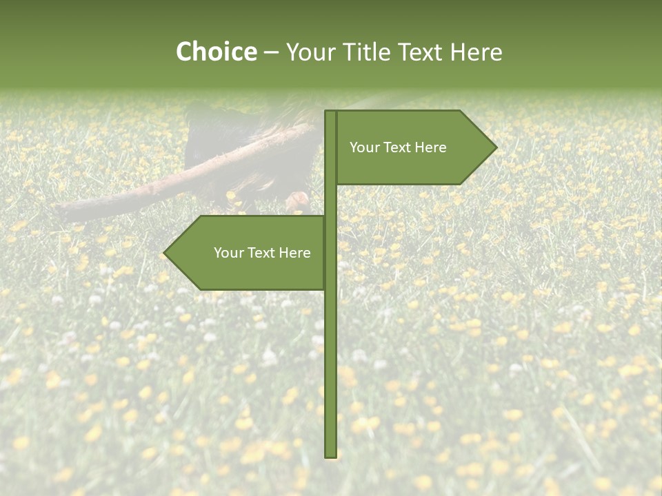 Shape Construction Downtown PowerPoint Template