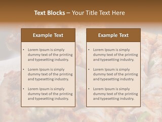 Town Illustration Black PowerPoint Template