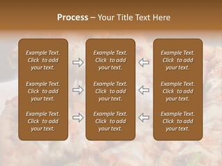 Town Illustration Black PowerPoint Template