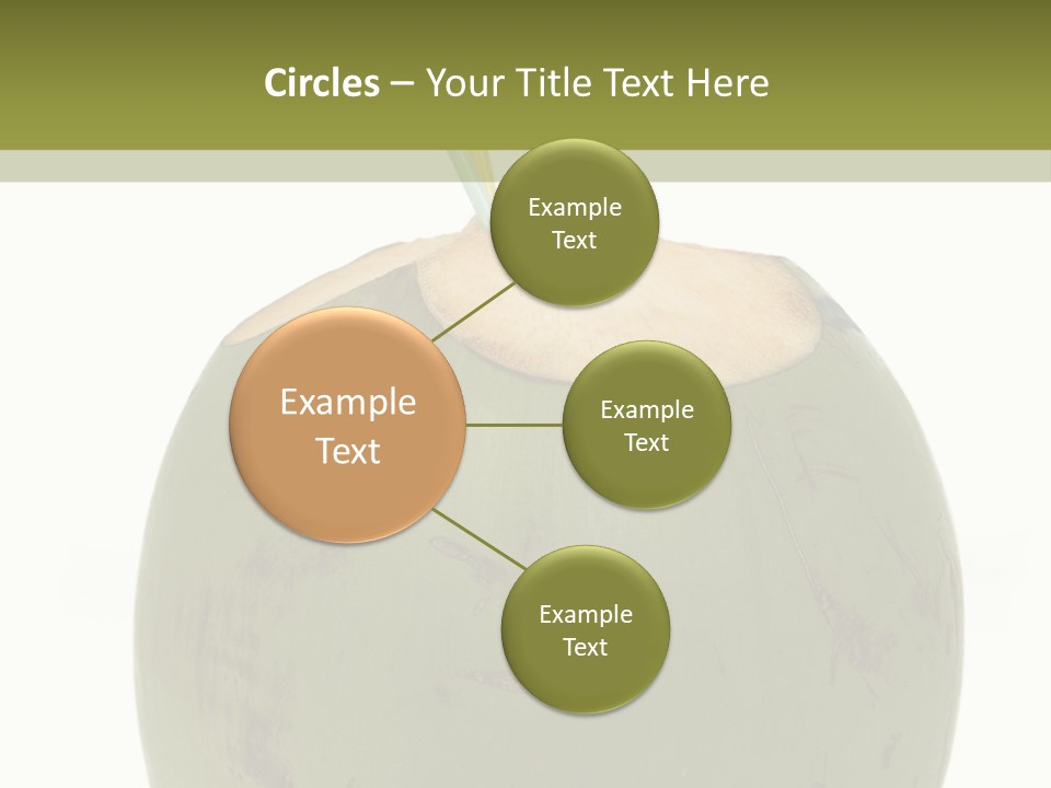 Globe Shape Concept PowerPoint Template