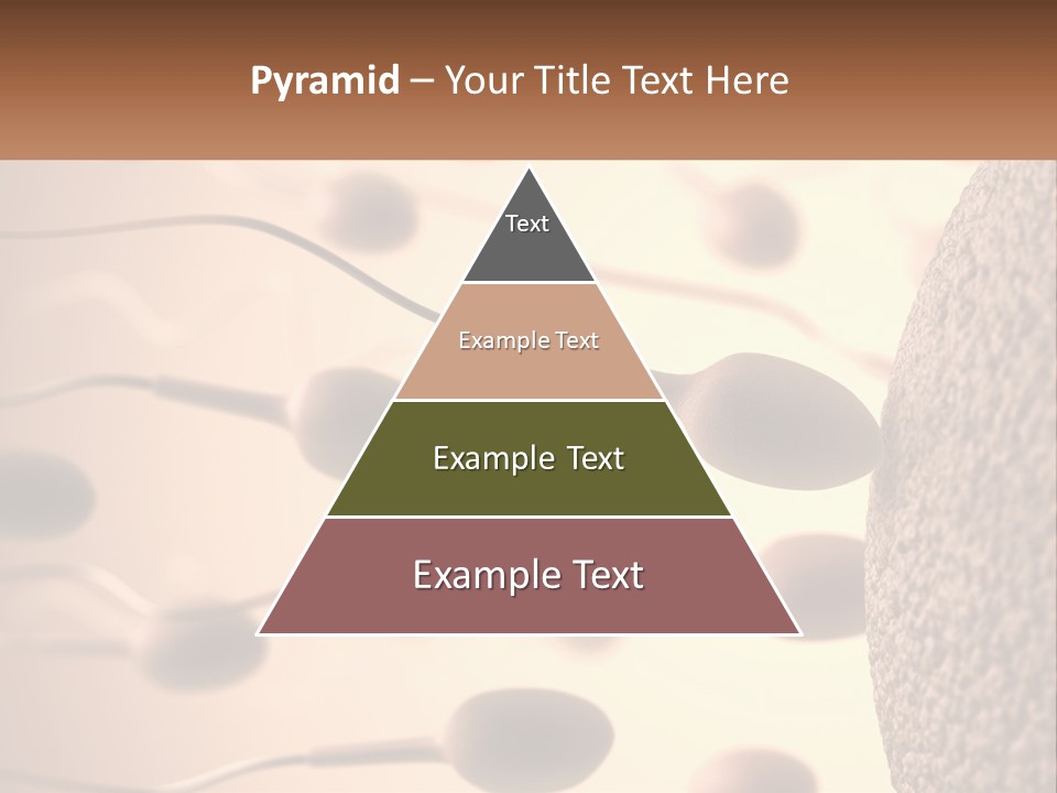 Background Structure Shape PowerPoint Template