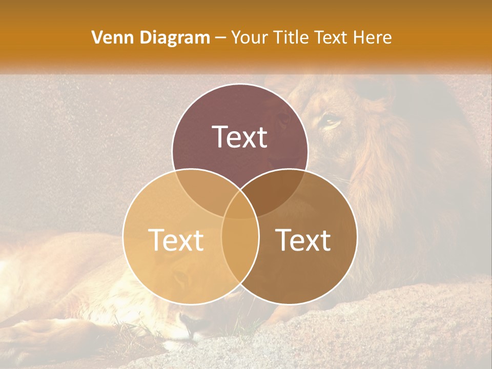 Modern Tall Environment PowerPoint Template